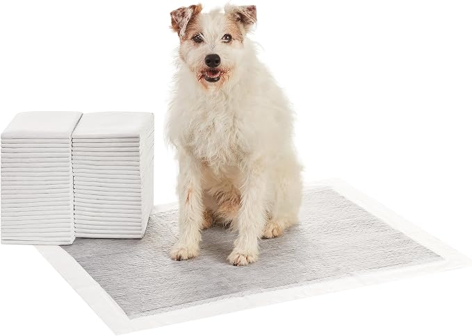 Basics Carbon Odor Control Dog and Puppy Pee Pads, 5-Layer Leak-Proof Super Absorbent, Quick-Dry Surface for Potty Training and Housebreaking, X-Large Size 28"x34", Gray, 50 Count