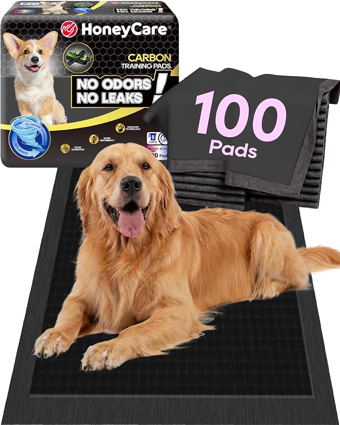 HONEY CARE All-Absorb Puppy Training Pads | Doggie Potty Pads Absorb Eliminating Urine Odor, Ultra Charcoal Dog Pee Pad (Carbon, L 22x23 inch, 100ct)