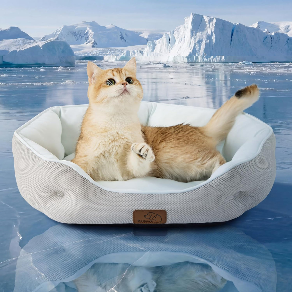 Bedsure Small Dog Bed Washable,Round Cat Beds for Indoor Cats,20in Camel