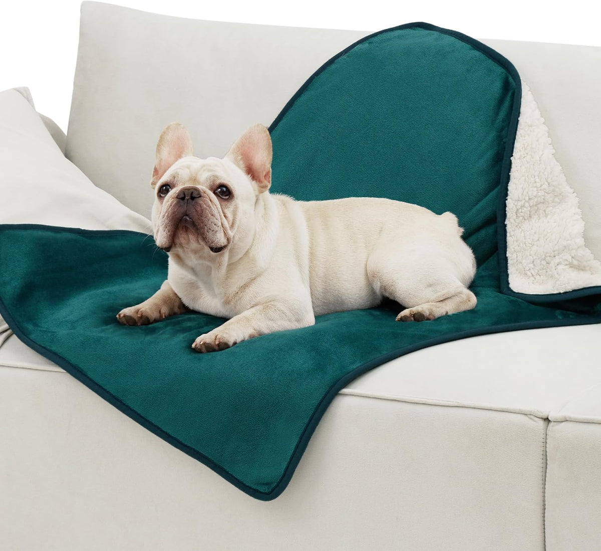 Bedsure Waterproof Dog Blankets for Large Dogs Sherpa Fleece Throw, 40X50