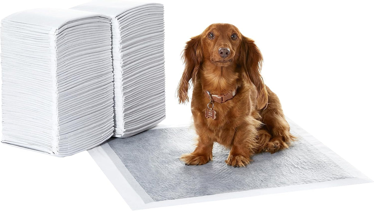 Basics Carbon Odor Control Dog and Puppy Pee Pads, 5-Layer Leak-Proof Super Absorbent, Quick-Dry Surface for Potty Training and Housebreaking, X-Large Size 28"x34", Gray, 50 Count