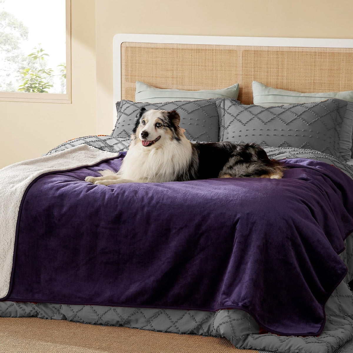 Bedsure Waterproof Dog Blankets for Large Dogs Sherpa Fleece Throw, 40X50