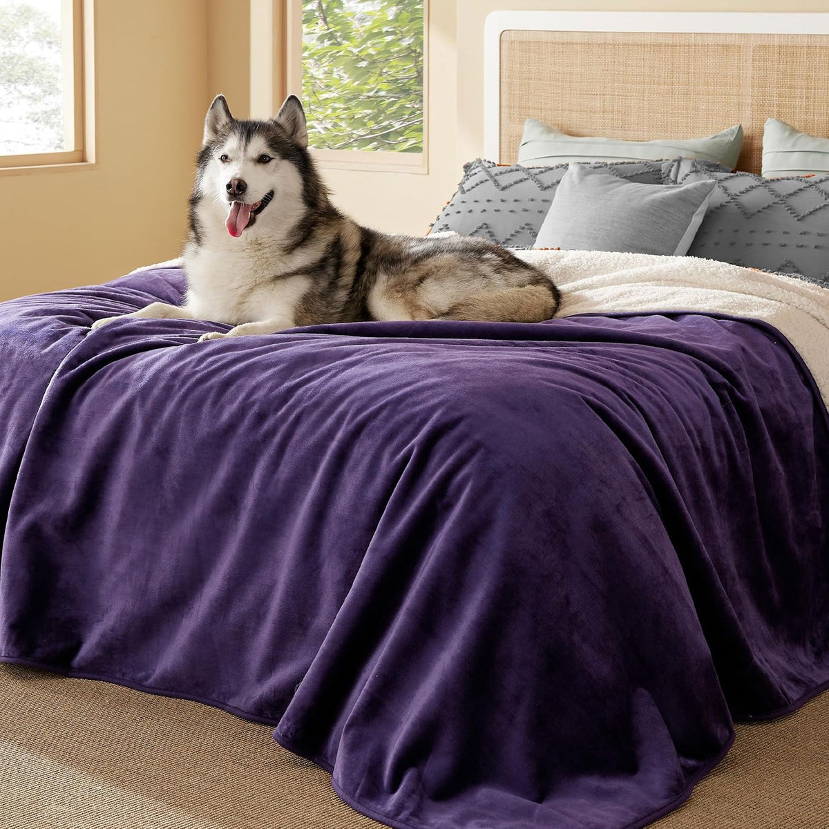Bedsure Waterproof Dog Blankets for Large Dogs Sherpa Fleece Throw, 40X50
