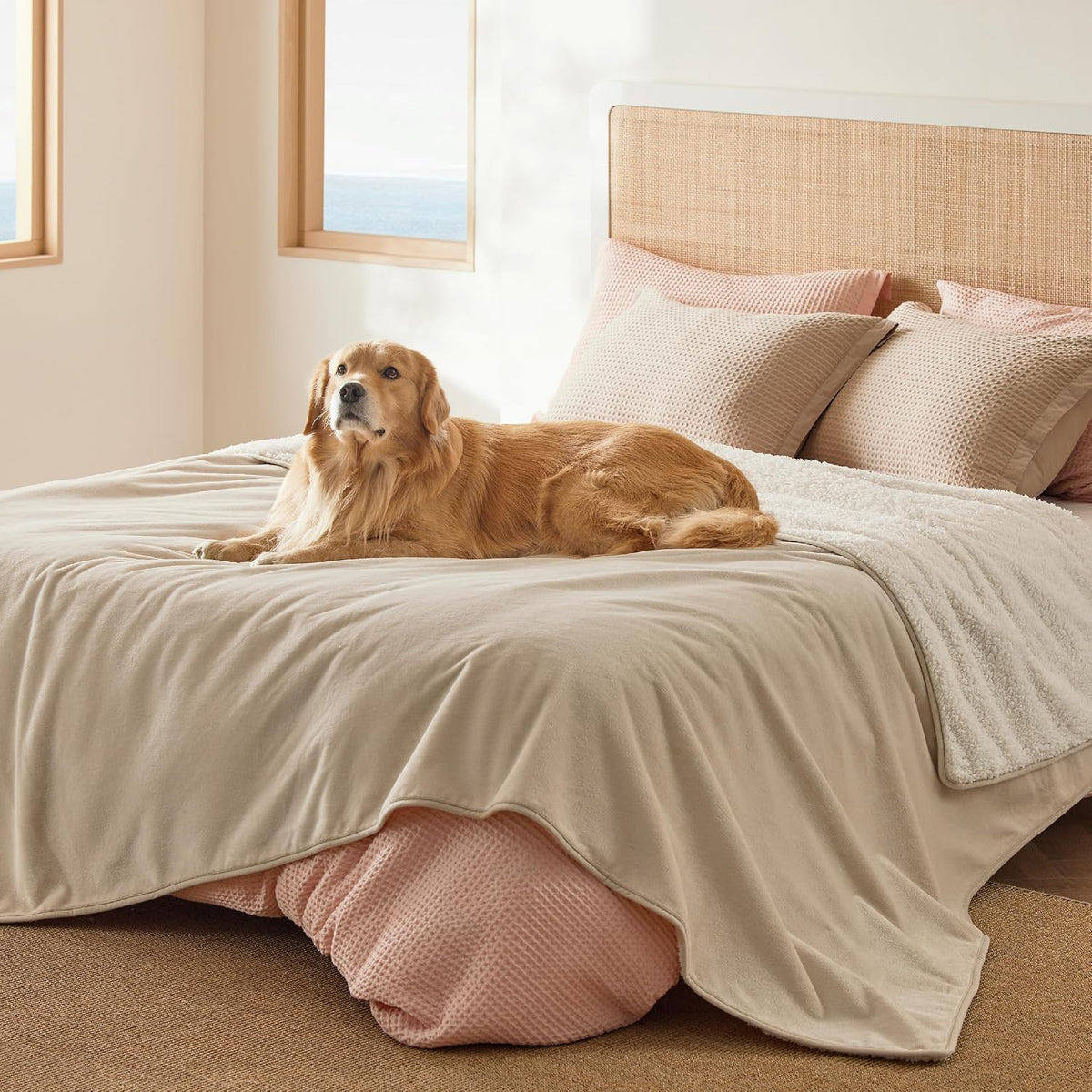 Bedsure Waterproof Dog Blankets for Large Dogs Sherpa Fleece Throw, 40X50