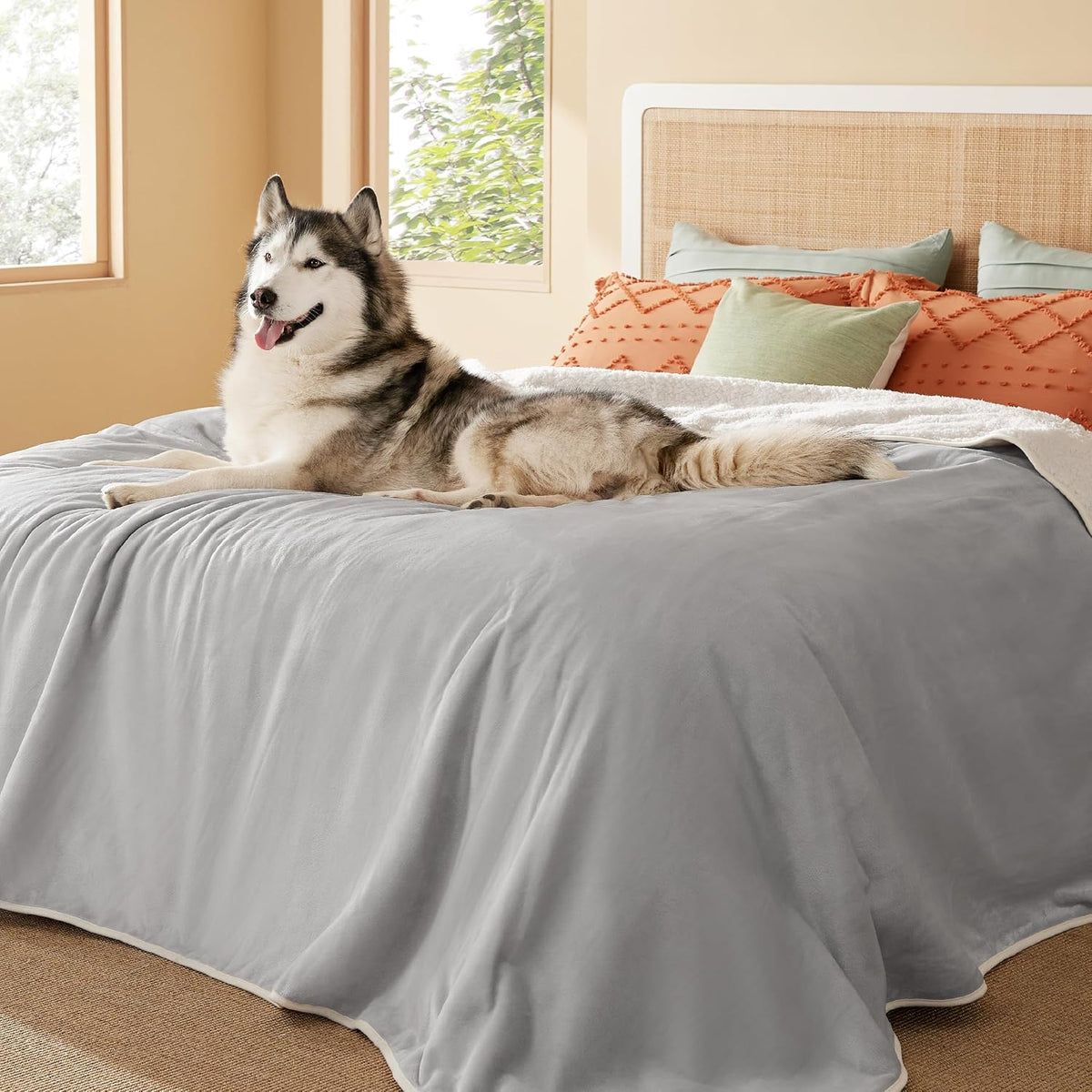 Bedsure Waterproof Dog Blankets for Large Dogs Sherpa Fleece Throw, 40X50