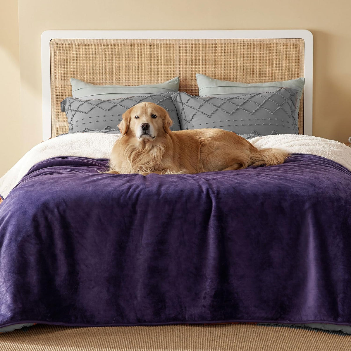 Bedsure Waterproof Dog Blankets for Large Dogs Sherpa Fleece Throw, 40X50