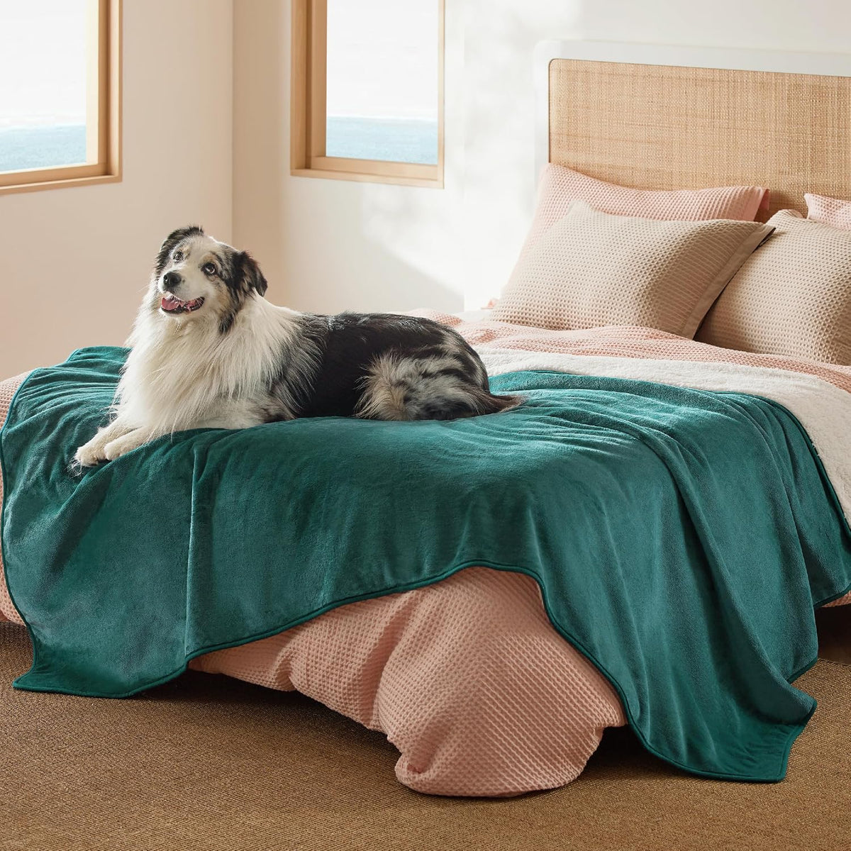 Bedsure Waterproof Dog Blankets for Large Dogs Sherpa Fleece Throw, 40X50