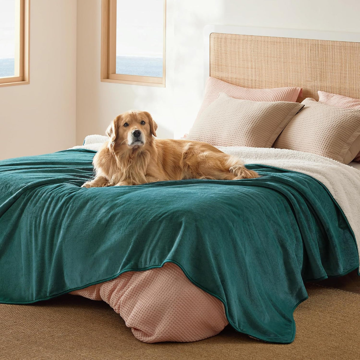 Bedsure Waterproof Dog Blankets for Large Dogs Sherpa Fleece Throw, 40X50